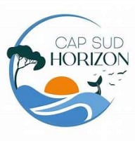 https://www.capsudhorizon.com/